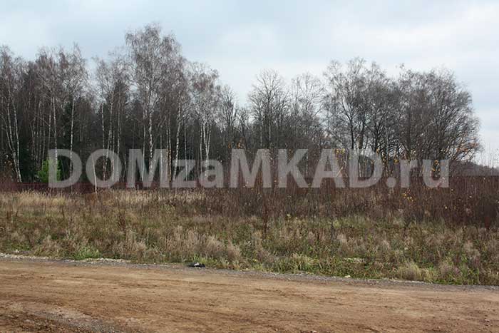 живописный лес за забором КП "Ново-Шарапово"